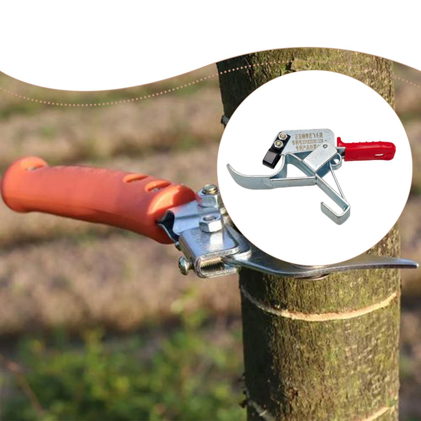 Fruit Tree Girdling Tool, Esse - Gardening Tools Essential review and price