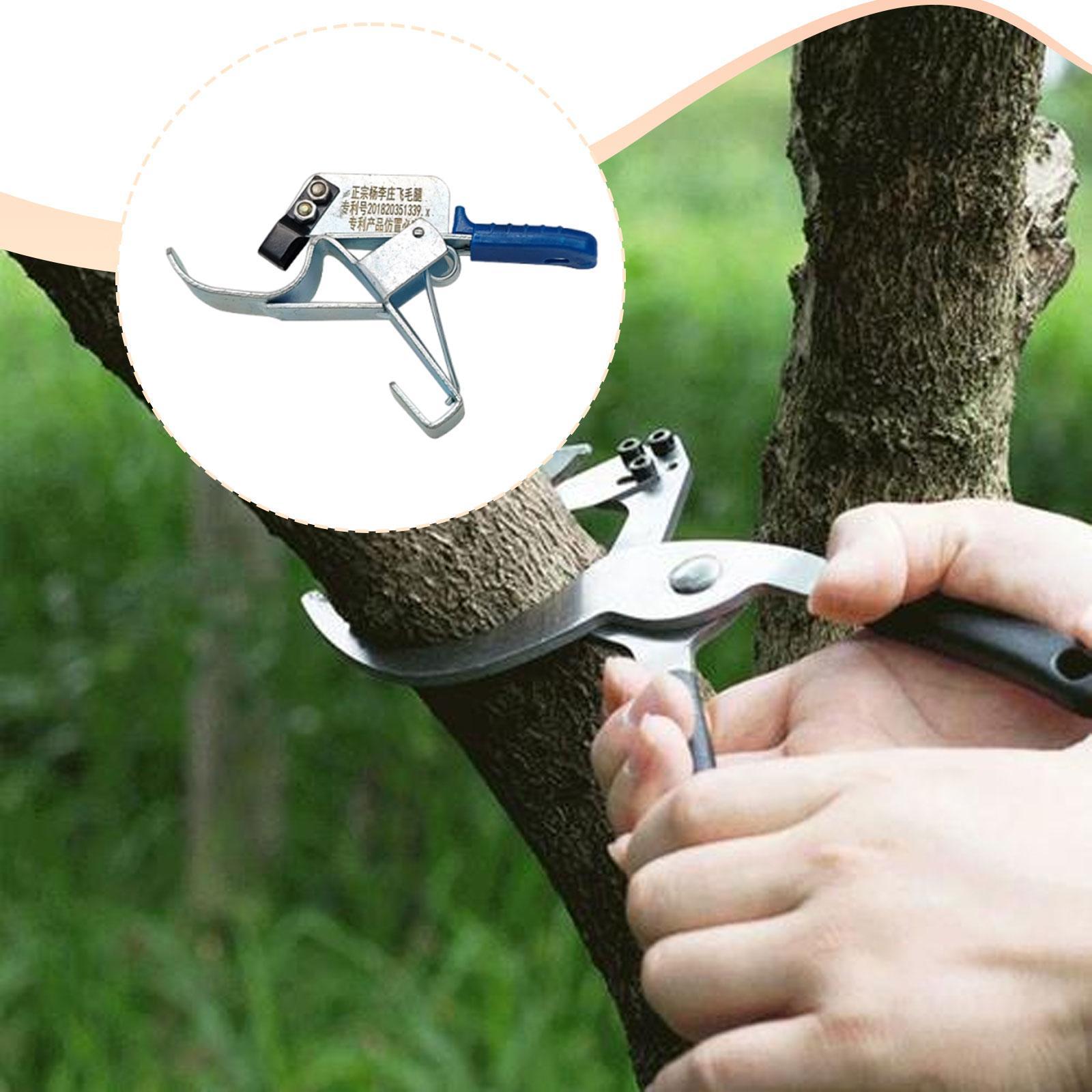 Fruit Tree Girdling Tool, Esse - Gardening Tools Essential review and price