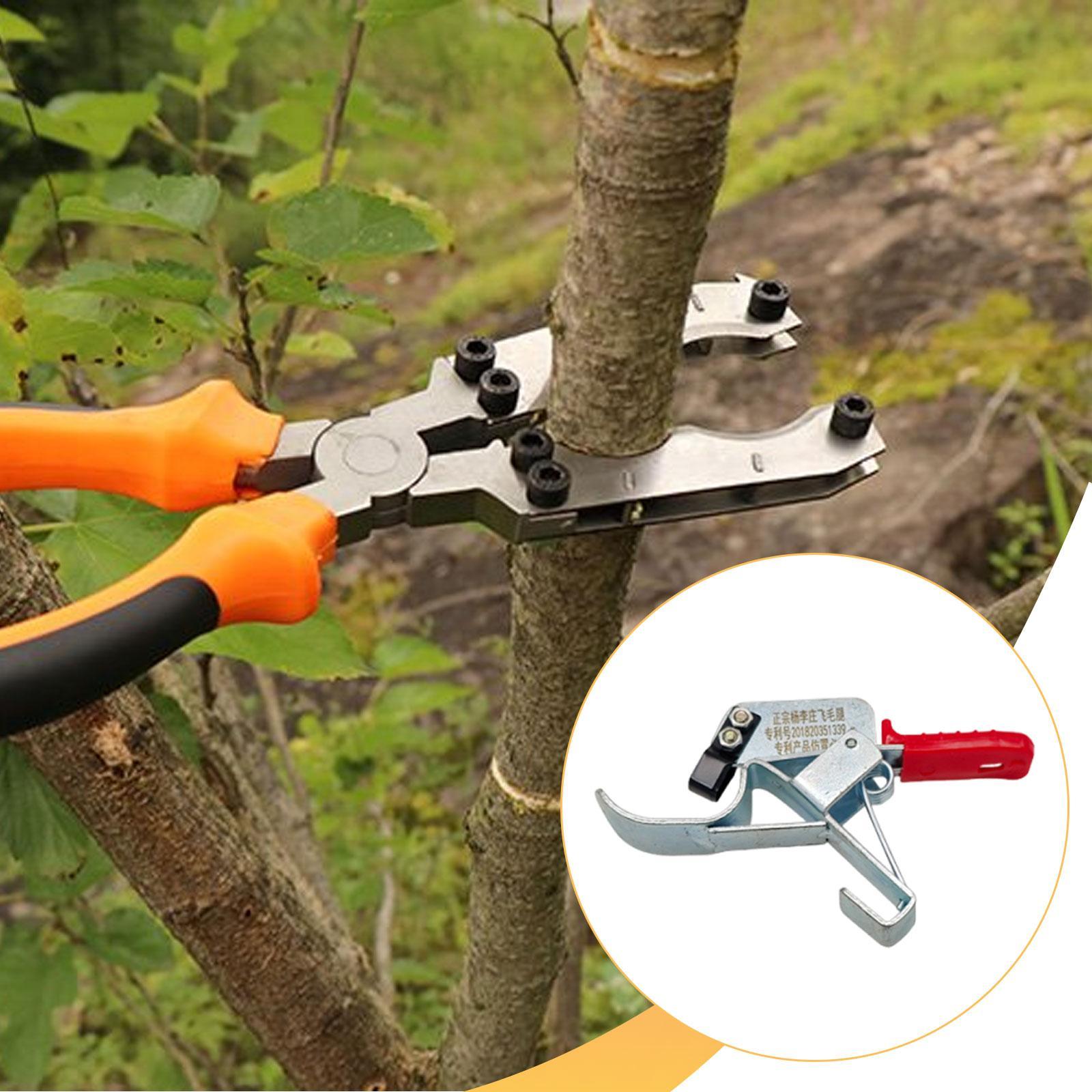 Fruit Tree Girdling Tool, Esse - Gardening Tools Essential review and price