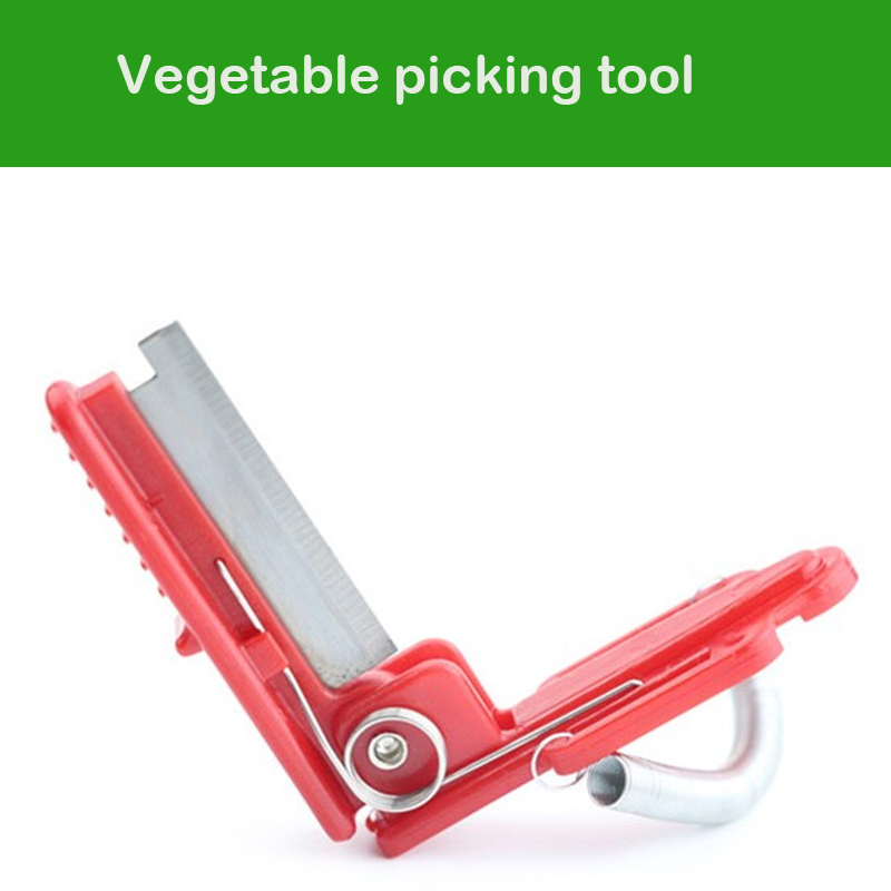 Knife Separator Vegetable Frui - Gardening Tools Youtube review and price